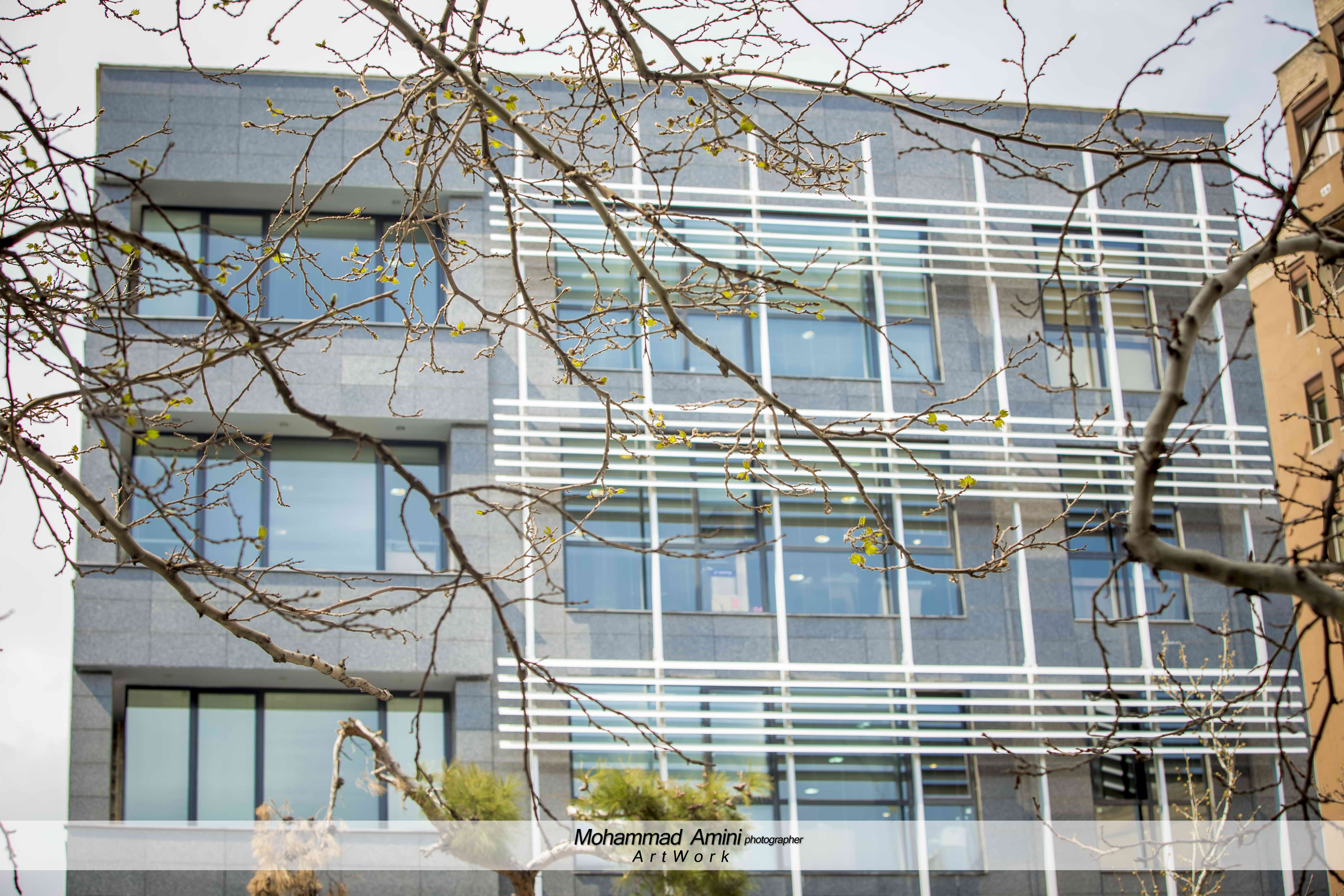 لیست کمیته ی علمی آکادمی کارشناسان